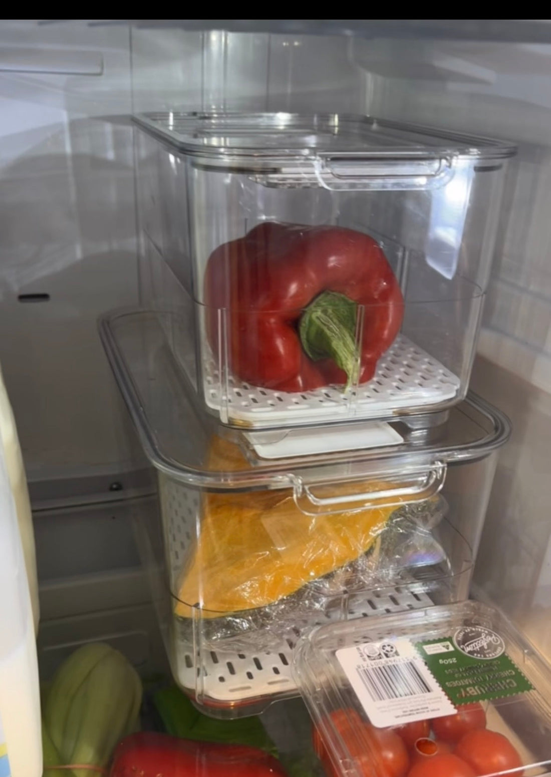 How to Organise Your Fridge to Keep Food Fresh & Save Money