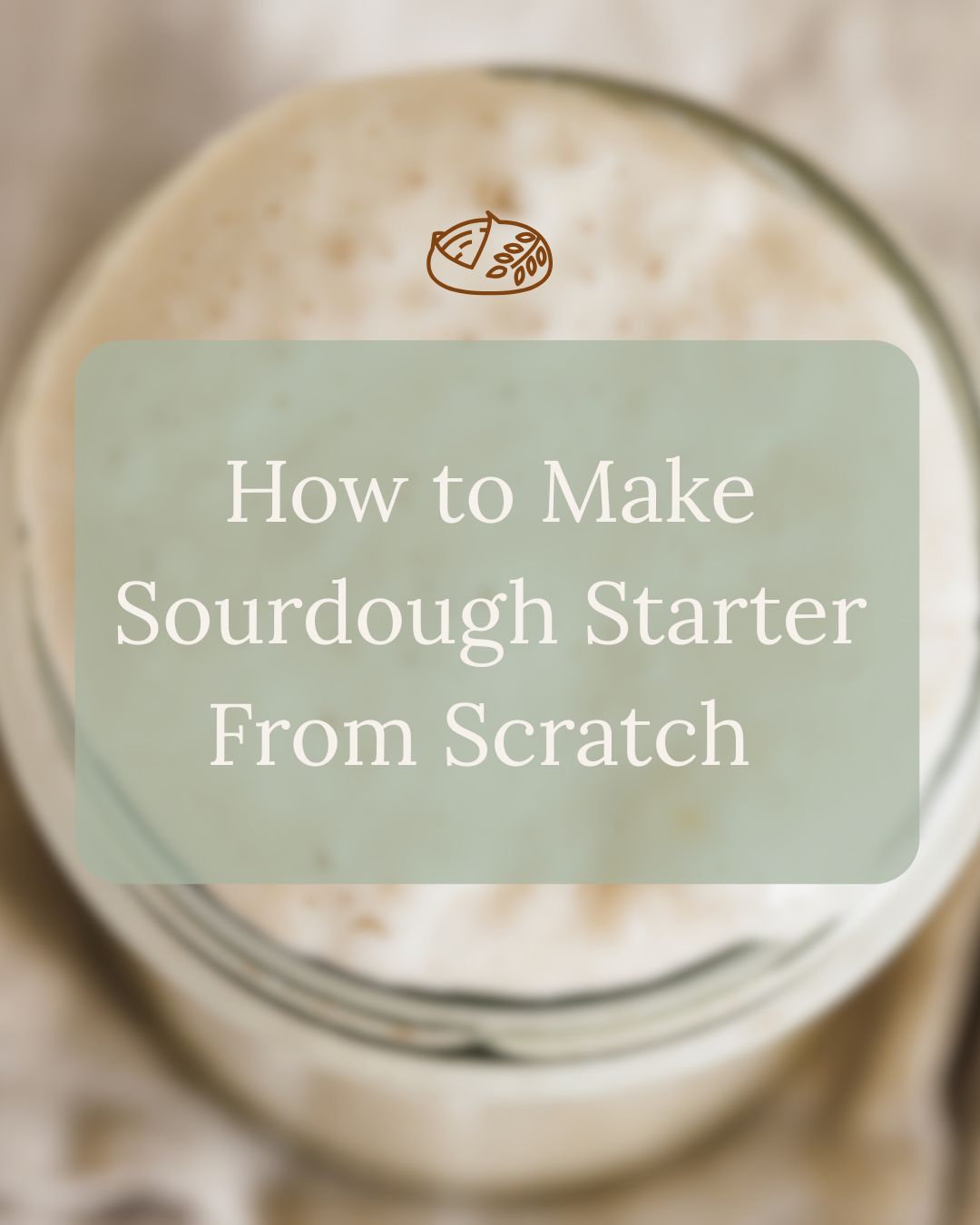 How to Make a Sourdough Starter from Scratch (Day-by-Day Guide)